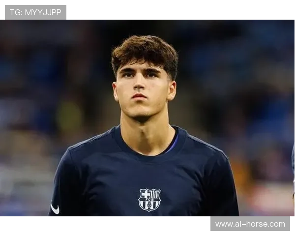 库巴西霍安家中被盗约6000欧